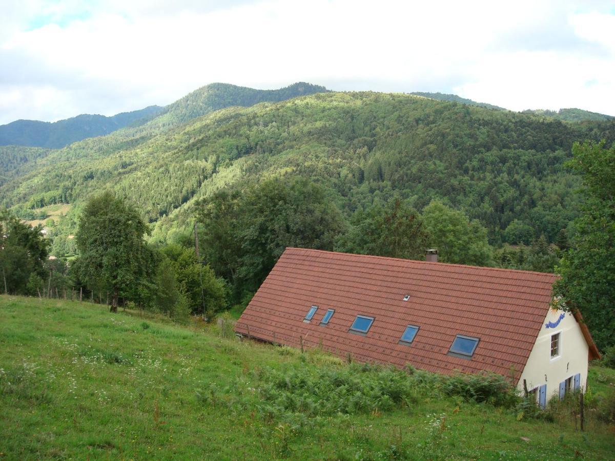 Vogesenparadies *