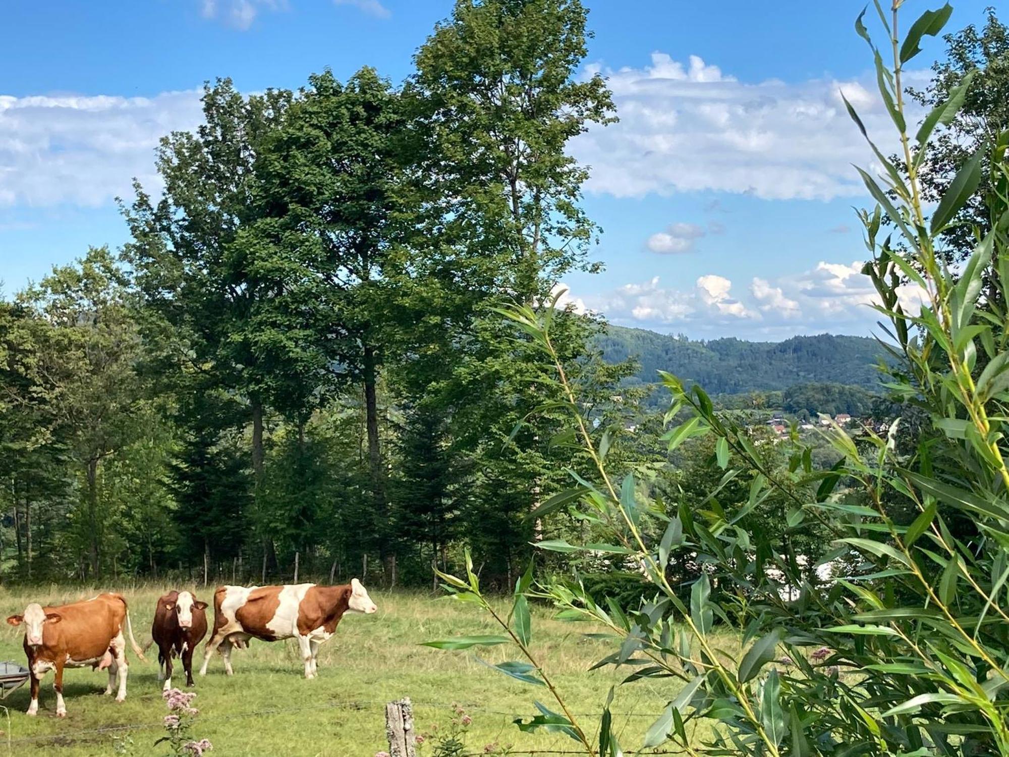 Hébergement de vacances Vogesenparadies